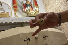 Molfetta verso la Festa Patronale: domenica 12 luglio il sorteggio del  peschereccio per la Sagra a Mare