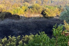 Incendio a Lama Martina, in programma nuovi sopralluoghi per quantificare i danni ambientali