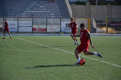 Molfetta Calcio, nuovo test al “Paolo Poli” contro l’Altamura Primavera