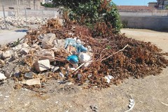 Il consigliere comunale Logrieco denuncia: «Discarica a cielo aperto in Contrada Fondo Favale»