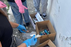 Iniziativa "Puliamo il Mondo", a Molfetta l’impegno degli studenti del Liceo Fornari