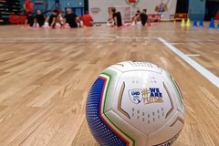 Coppa Divisione, oggi Real Molfetta contro Futsal Bitonto al PalaPoli