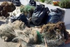 Spiagge e fondali puliti, al Molo Pennello una giornata dedicata al mare