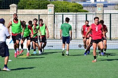 Molfetta Calcio, oggi al "Paolo Poli" la sfida di Coppa contro il Don Uva