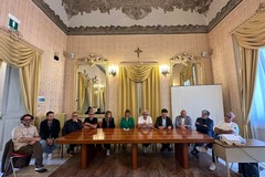 Crisi dell’olivicoltura, l’amministrazione di Molfetta al fianco degli agricoltori
