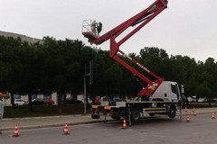 Processionaria, interventi in corso su Via Salvucci. Poi villetta Alcide de Gasperi.