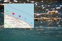 Alga tossica in aumento a Molfetta: il nuovo bollettino