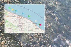 Spunta l'alga tossica a Molfetta: livelli "discreti" rilevati nella prima metà di luglio