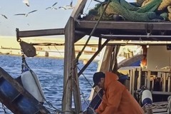 I pescherecci approdano nel porto di Molfetta: il video emozionale del blog "I viaggi di Liz"
