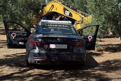 Rubato un escavatore ad una ditta: recuperato dai Carabinieri di Molfetta