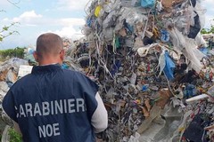 Dalla Campania i rifiuti finivano anche nelle campagne di Molfetta