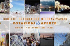 #FieraViva2016: quale foto vi emoziona di più?