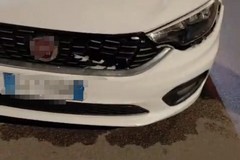 Daino attraversa la strada allo svincolo della 16 bis e provoca un incidente: la segnalazione