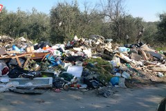 Gestione dei rifiuti, nuovo organo di amministrazione per la Sanb