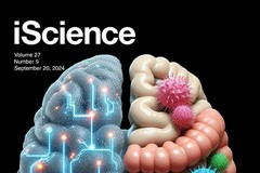 C'è anche un molfettese nel team di UniBa sulla copertina della rivista "iScience"