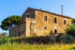 Dal PNRR 56 milioni di euro per i paesaggi rurali in Puglia. Fondi anche su Molfetta