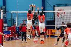 Testacoda per l’Indeco Molfetta: sfida al Termoli