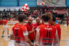 Una sfida che sa di serie A: l’Indeco Molfetta sfida la Tonno Callipo Vibo