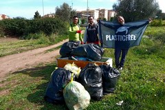 Lama Martina: ancora i volontari per liberarla dai rifiuti
