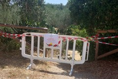 Incendio a Lama Martina: disposta la chiusura totale e temporanea dell'area