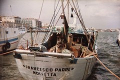 28 anni fa l'affondamento del motopesca Francesco Padre. Il ricordo del Sindaco