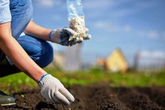 Guerra in Medio Oriente: aumento dei prezzi, aziende agricole sotto pressione