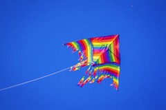 “Aquiloni in Festa”: domenica 26 aprile la festa finale alla Secca dei Pali di Molfetta