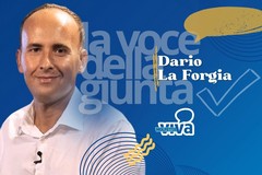La voce della giunta: MolfettaViva intervista Dario La Forgia