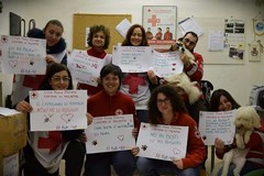 Botti, flash mob di Croce Rossa e Lega del Cane: LE FOTO