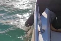 Molfetta, nuove regole per la dispersione delle ceneri funebri in mare
