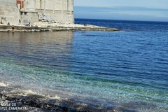 Alga tossica nel mare di Molfetta: il bilancio a metà estate