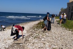 Oltre 20 cittadini ripuliscono la spiaggia pubblica "la Bussola"