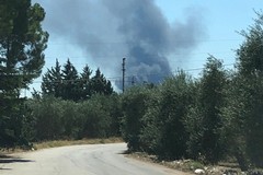 Incendio in un vivaio di Terlizzi. La nube di fumo visibile anche da Molfetta