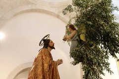 Gli effetti della Xylella sulla tradizione della "frasca" di Gesù all'Orto: una conferenza a Molfetta
