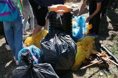 Clean up a Lama Martina per la Giornata degli animali