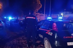 Caos dopo Canusium-Pallacanestro Molfetta: Daspo a un dirigente del club canosino