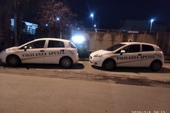 Due furti sventati nelle ville fra Molfetta e Terlizzi, ladri in fuga