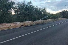 Vigile del Fuoco investito da un'auto pirata sulla strada Molfetta-Terlizzi