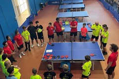 Tennistavolo, L'Azzurro Molfetta vola in Europa: scambio vincente ad Altea con Erasmus+ Sport