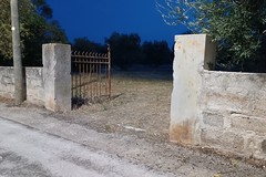 Trovato il corpo di un uomo di Molfetta nelle campagne di Giovinazzo