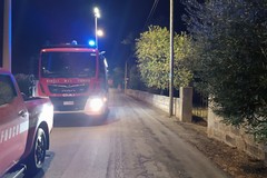 Trovato morto nelle campagne di Giovinazzo: è originario di Molfetta