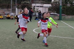 Nox Molfetta, l'under15 ancora vittoriosa e prima nella fase a gironi di Futsal on the Road