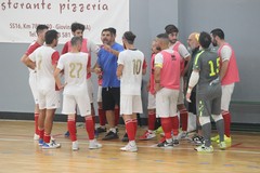 Serie C1, il Real Molfetta a caccia di conferme contro il CUS Foggia