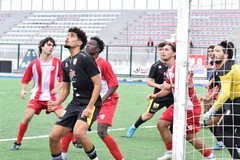 Promozione, oggi due trasferte per le squadre di Molfetta