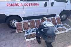 Controlli sulla filiera della pesca: la Guardia costiera di Molfetta sequestra 100 kg di prodotto ittico