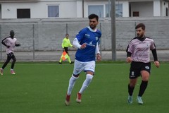 Il Borgorosso Molfetta rinforza l'attacco con Mauro Sciancalepore