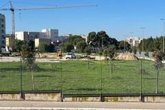 Lavori al Parco Tombino di Molfetta: presto nuova vita per l’area mai aperta al pubblico?