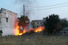 Incendi nelle aree verdi: diramata ordinanza del sindaco
