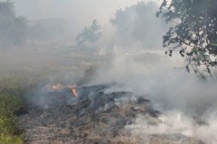 Incendio nella zona Asi di Molfetta, in fiamme scarti di potatura