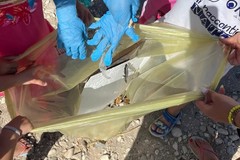 Campo Natura di Naturalia a Molfetta: iniziativa in collaborazione con Plastic Free